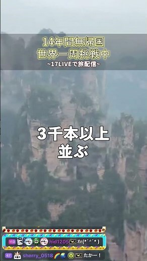 映画アバターの舞台と言われる中国の『武陵源』#世界一周 #海外旅行 #中国 #武陵源 #アバター