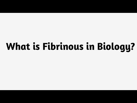 What is Fibrinous in Biology ?