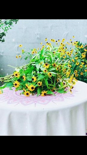 黑心菊花语：寓意着公平正义，不畏别人的目光、相信自己的爱会有结果，还寓意神秘莫测。黑心菊的花朵颜色鲜亮，像向日葵一样始终向阳，代表了正义美好的化身。名字虽然叫做黑心菊，但却有美丽迷人的灵魂。
