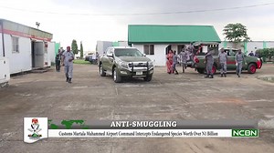 7.7K views · 486 reactions | Customs Murtala Muhammed Airport Command Intercepts Endangered Species Worth Over N1 Billion | Nigeria Customs Service | Facebook