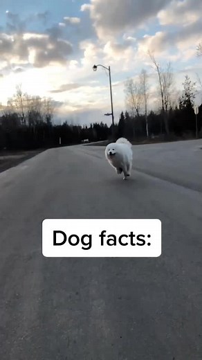 Jonny (@jauncydev)’s videos with Surrender - Natalie Taylor