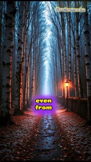 The Real Reason You Feel Someone Watching You #spectrumrealm