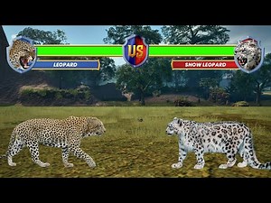 Leopard Vs Snow Leopard