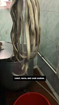 Balls, soup, stir-fry, wine: how Hong Kong celebrates snake