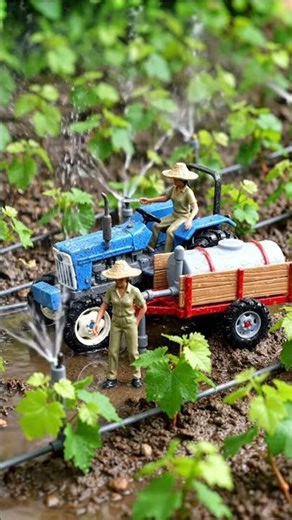 Mini Farming Story: Complete Grape Farming Process 🍇 | AI Miniature Farming Video #TinyFarnX 🌹#yt