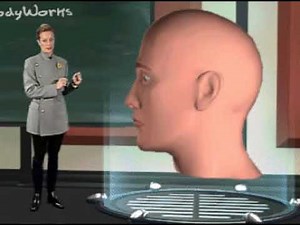 El Cuerpo Humano - El Oido |Dra. BodyWorks| Anatomía. Vídeo dirigido a estudiantes.