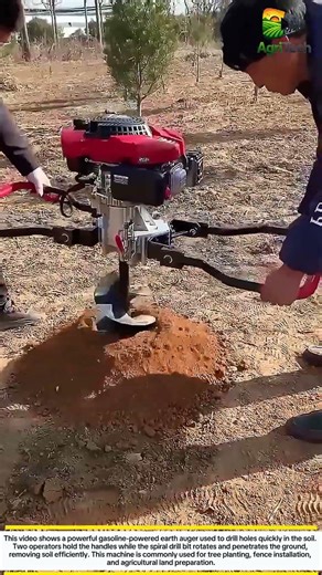 Gasoline Earth Auger | Fast Tree Planting Hole Drilling Machine