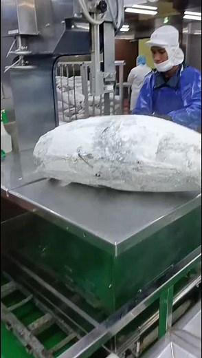 Food Processing Techniques: Behind the Scenes in Industry