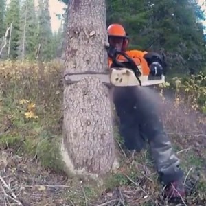 2.5M views · 5.4K reactions | Incredible woodworking on Reels | Facebook