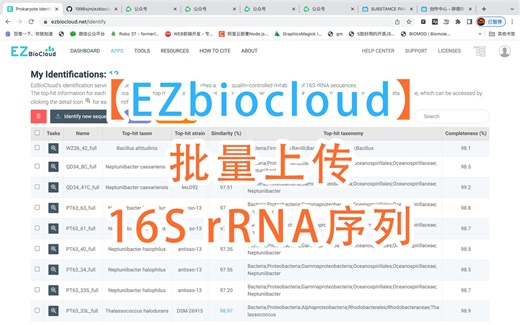 【EZbiocloud】批量上传16S rRNA序列并下载结果