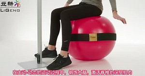 德国TOGU数字无线核心平衡功能评估智能球