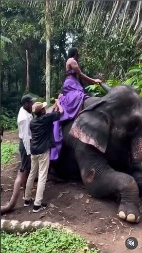 Woman’s Stunning Elephant Ride Transformation in the Wild! 🐘✨