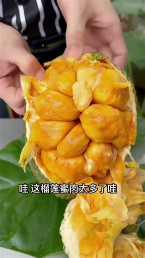 अभी ये लो कटहल खा लो 😂… आगे क्या हुआ देखो! 😳 #shorts