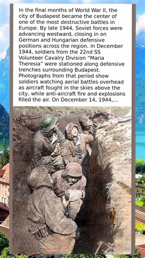 The Siege of Budapest: SS Soldiers Witness Aerial Battle in Trenches, December 1944