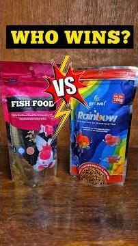 Best budget FISH FOOD for beginners?🤔 #shorts #viral #aquarium #aquaticspets