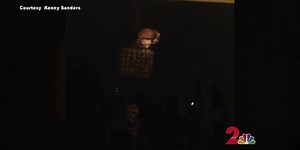 Flying Squirrel CAM. They only come out at night!