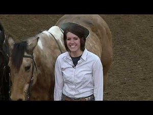 Internmania: Roman Riding & Sliding Stop