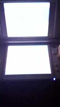 Pokemon HeartGold/Soulsilver💛🩶 SAVE FILE