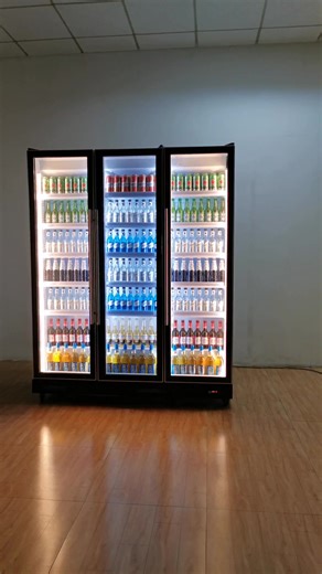 Quality Commercial Display Freezers with LED Lights