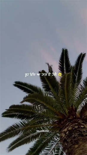 ਹਾਲ ਦਿਲ ਮੇਰੇ ਨੂੰ🥰🥀#hustindernewsong #romantic #ytshorts #shorts #youtubeshorts #trending