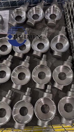 Agricultural machinery HST swash plate #hydraulic