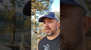 Fragmentation of property