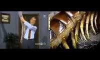 Mix of 2 videos from youtube : Tarantula VS Giant Centipede - Neighborhood