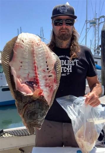 How to Fillet a Halibut: Step-by-Step Guide
