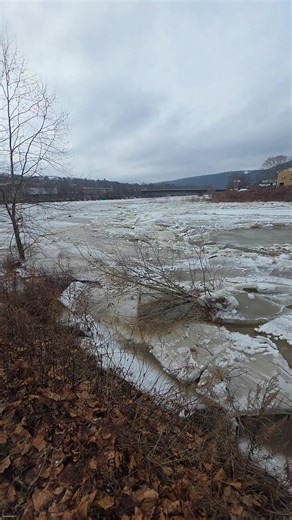 Oil city PA the mouth of oil creek meeting the allegheny! This is only the first 5 miles of ice from the ice device dam in oil creek state park down to here! So cool to watch it stop and stack up! We really need the river ice to let go before the rest of oil creek lets loose! Let's hope oil city business along oil creek stay safe 🙏 the ice is dangerously close to causing alot of problems!!! | Tony Van Horn