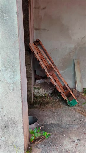 This is how I get dinner 🍽️ Not depend on people 😉 #stluciantiktoker🇱🇨 #caribbean #comedian #dinner #egg