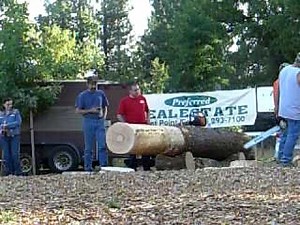 Westpoint Lumberjack days stock saw competition wood cutting