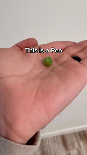 MoonPie vs Pea: A Sweet Showdown in 2022!