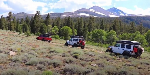 Top 11 Best Jeep Wrangler Roof Rack Unlimited Reviews - vehicleic