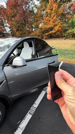 137K views · 921 reactions | Tesla bug勞 #automobile #tesla #shorts #funny | Mr & Mrs Tesla | Facebook