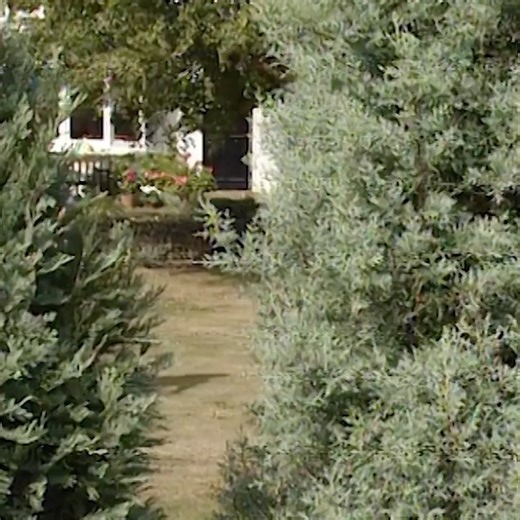 431K views · 10K reactions | I never get tired of watching this brilliant show | Classic TV Moments | Facebook