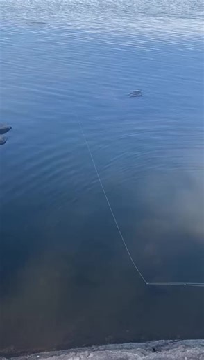 Fishing Adventures in Finland: A True Angler's Paradise