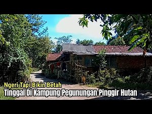 Kehidupan di Desa Pinggir Hutan Pegunungan Kebumen Jawa Tengah Indonesia!