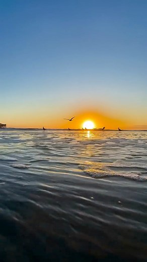 27 reactions · 30 shares | #beautiful #moon #sunrise #beach #birds #ocean #waves # | Will McLatchey | Facebook