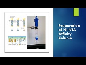 Preparation of Ni-NTA Column I His TAG Column