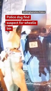 12K views · 138 reactions | Dem detain one man while di oda one jump several fence for garden bifor dem find am. Police arrest two men wey dey age 30 and 33 for multiple suspicion offences. Police recover one knuckle duster and suspected Class A drugs from di car. Dem later grant two of dem bail. | BBC News Pidgin | Facebook