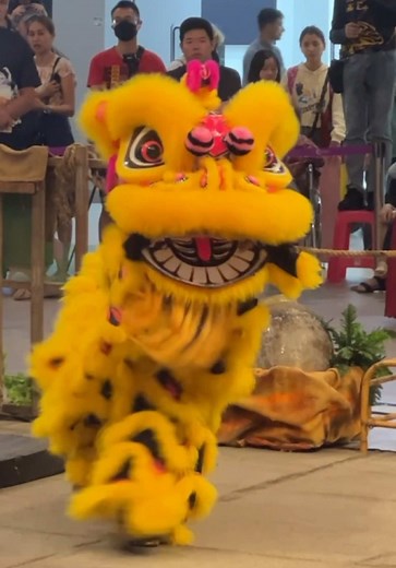 Little Lion Dance: Daily Training Highlights