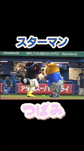 #スターマン #つばみ #キャッツアイ #神宮球場 #マスコット交流 #セリーグ #池山隆寛