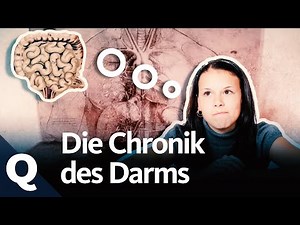 Die Geschichte unserer Verdauung | Quarks