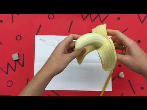 Little Lesson at Home: Observational Drawing of Fruit