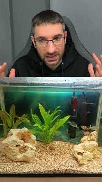 3 mistakes that are ruining this 30L aquarium
