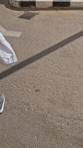 Clinical Pharmacist Role in a Hospital Setting