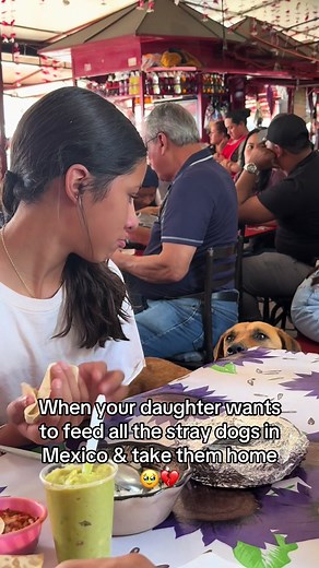 Rescuing Stray Dogs in Mexico: A Daughter's Mission