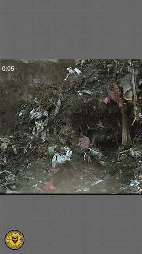 Farmyard Ratting Dogs | Rat Shooting & Rat Kill Action | Farm Rat Shooting | The Rat Slayer