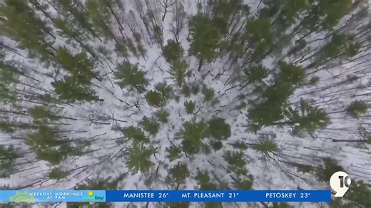 Northern Michigan lawmakers upset about proposed solar energy farms on state land