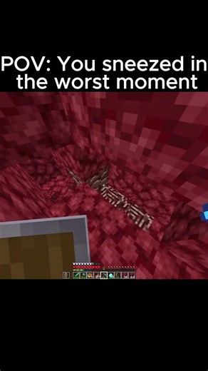 Minecraft moment 🥀🥀🥀#minecraft #minecraftshorts #memes